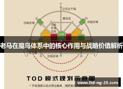 老马在魔鸟体系中的核心作用与战略价值解析